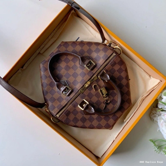 Aaa replica bags BANDOULIERE Louis 25 Vuitton SPEEDY 0824